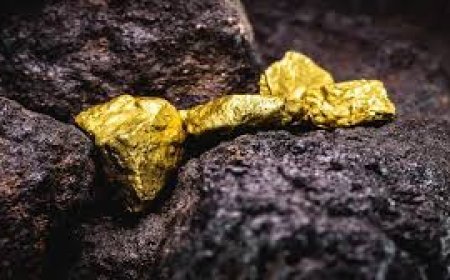 सोनभद्र में जल्द निकलेगा सोना, यूपी और MP सरकार को केंद्र की हरी झंडी; शुरू हुई तैयारी