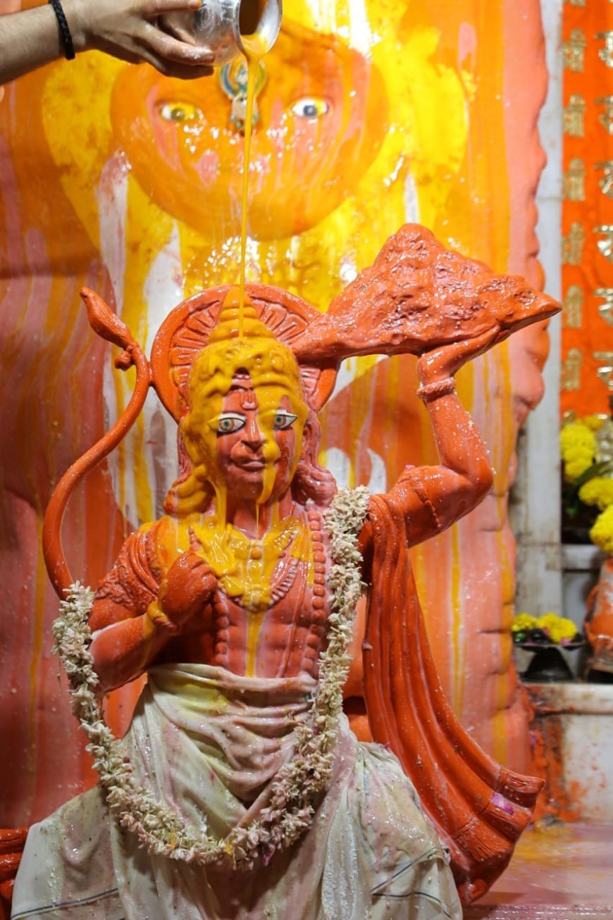 71 द्रव्यों से हुआ अलीजा सरकार का विग्रह अभिषेक, दीपों से रोशन दरबार व राजभवन को निहारने पहुंचे हजारों श्रद्धालु