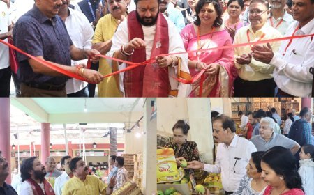 मैंगो जत्रा हुआ शुरू, इंदोरियो ने फलों के राजा आम का चखा स्वाद,खूब खरीदे हापुस आम