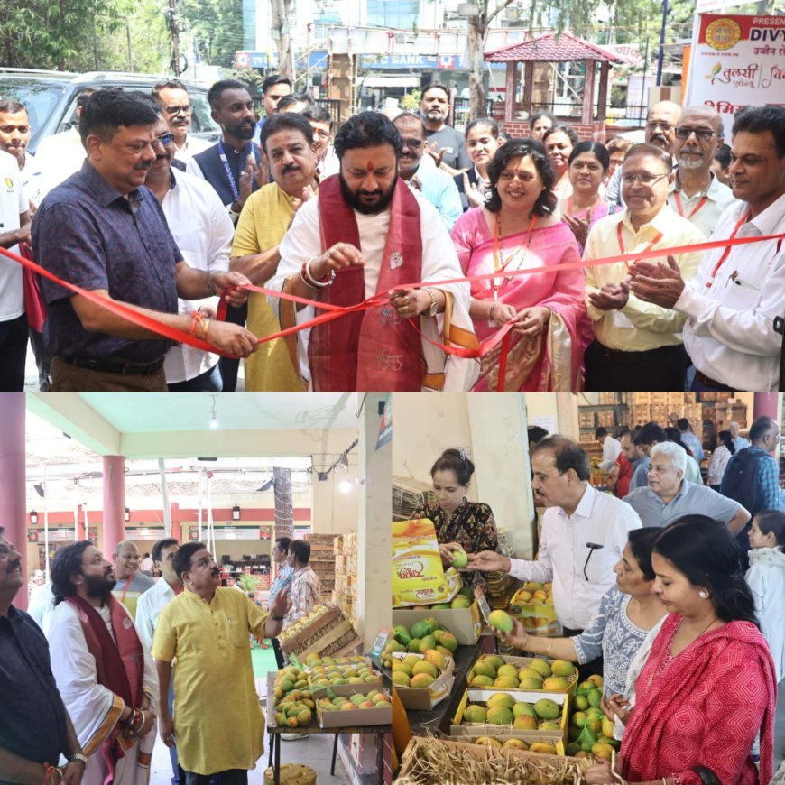 मैंगो जत्रा हुआ शुरू, इंदोरियो ने फलों के राजा आम का चखा स्वाद,खूब खरीदे हापुस आम