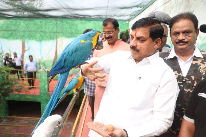 मुख्यमंत्री डॉ. यादव ने कमला नेहरू प्राणी संग्रहालय को दी नर किंग कोबरा की सौगात