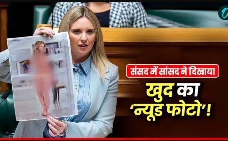 न्यूजीलैंड  के  संसद में MP का  न्यूड फोटो