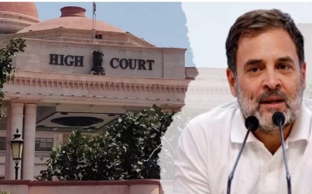 इलाहाबाद हाई कोर्ट ने दी राहुल गांधी को तगड़ी सीख, अभिव्यक्ति की स्वतंत्रता का मतलब सेना को बदनाम करना नहीं