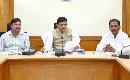 वर्षा के पूर्व ही शहर में कराये सडको का पेचवर्क कार्य- महापौर