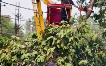 निगम की आपदा प्रबंधन टीम अलर्ट    -शहर में चली आंधी के पश्चात उद्यान विभाग की टीम ने हटाए सड़कों पर गिरे पेड़