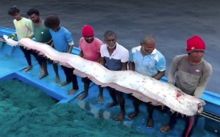 भारत में दिखी विनाश लाने वाली OAR मछली: जापान में सुनामी से पहले दिखी थी,