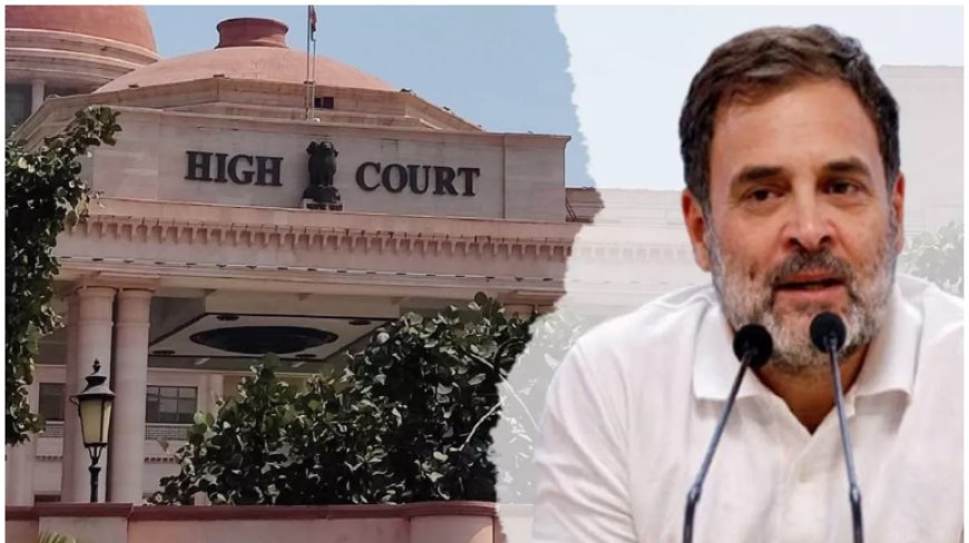 इलाहाबाद हाई कोर्ट ने दी राहुल गांधी को तगड़ी सीख, अभिव्यक्ति की स्वतंत्रता का मतलब सेना को बदनाम करना नहीं