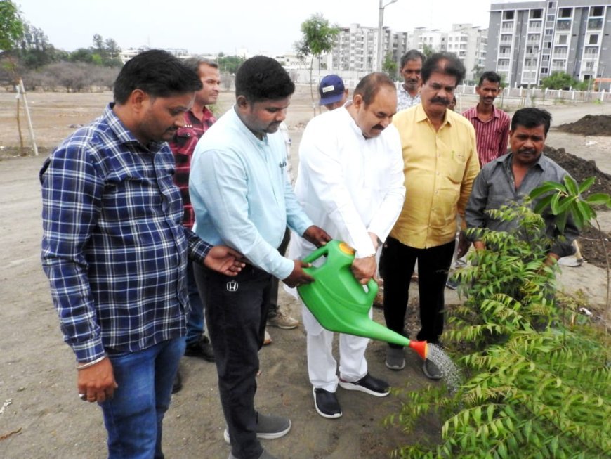 पौधा रोपण के साथ उनकी सुरक्षा के लिए ट्री-गार्ड भी लगाए