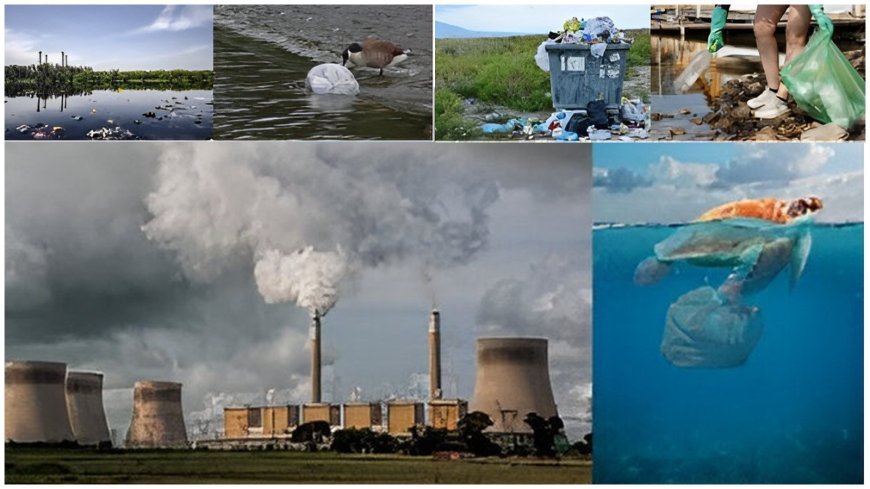 सैनिटरी पैड से परफ्यूम तक पर्यावरण के लिए खतरा!