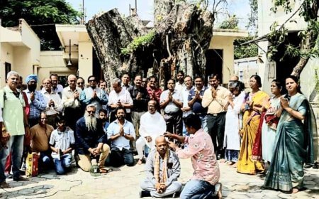 300 वर्ष पुराने पीपल वृक्ष के अंगभंग के विरोध में हुई प्रार्थना सभा और दीपदान कार्यक्रम