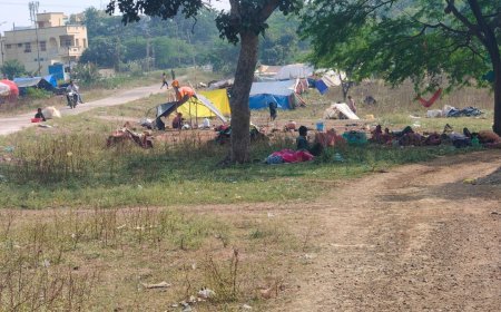 कहीं यह घुस पैठिये तो नहीं?