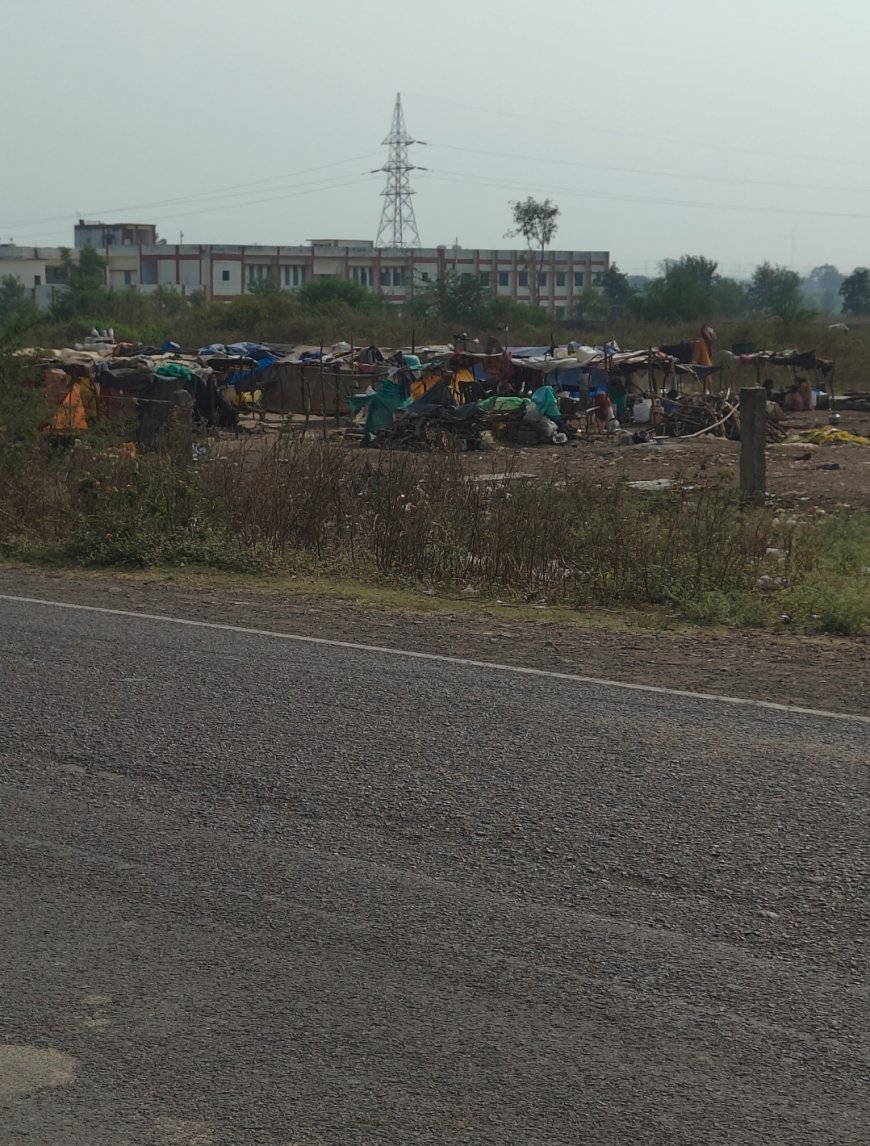 कहीं यह घुस पैठिये तो नहीं?