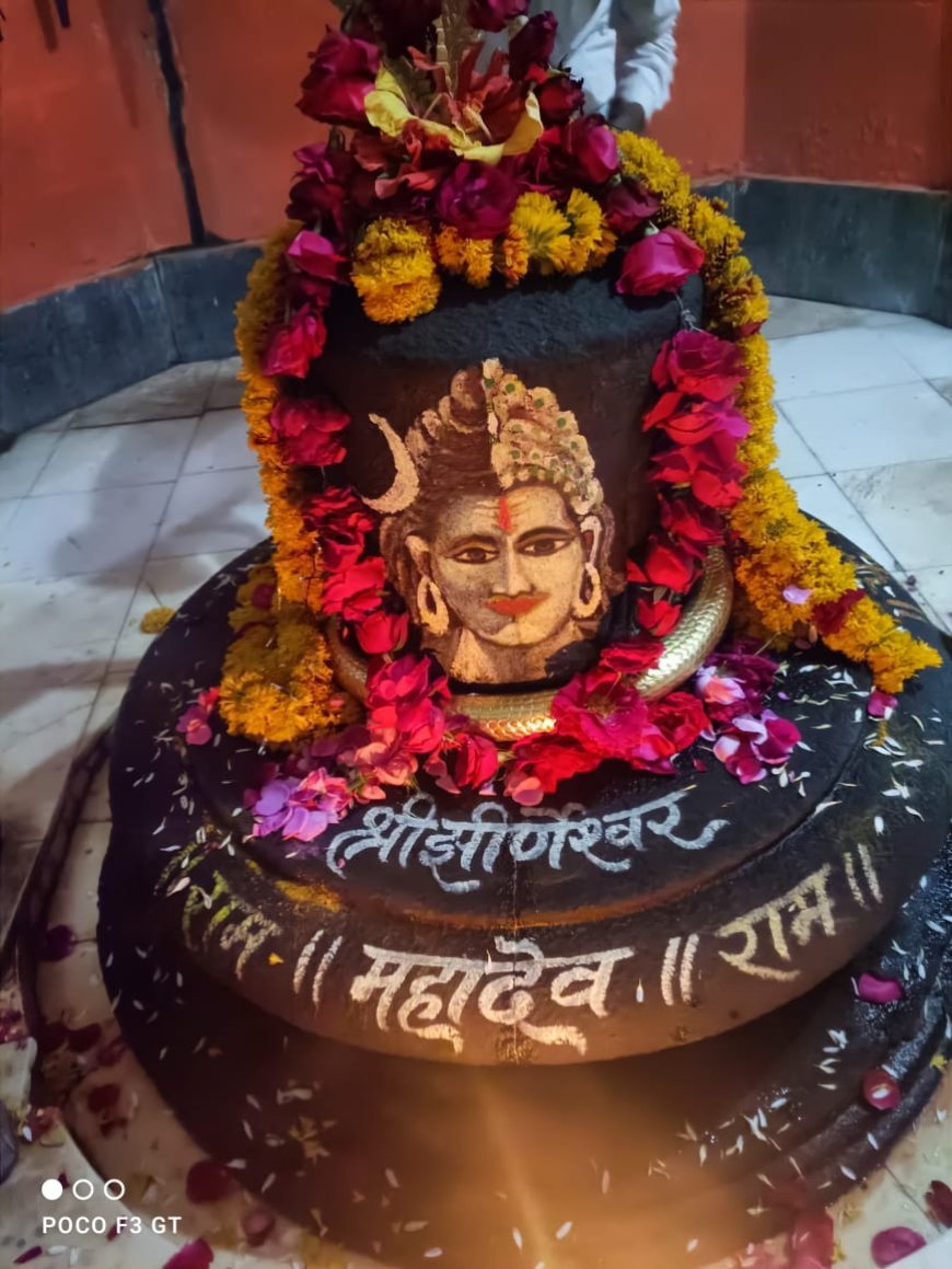 प्रदोष काल में हुई भूत भावन भोलेनाथ की महाआरती धर्मेंद्र श्रीवास्तव,