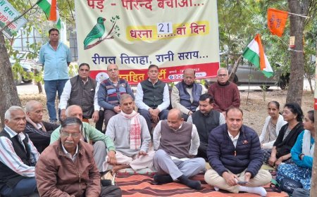 शहर की हरियाली के पक्ष में उतरा अभ्यास मंडल, धरना स्थल पर दी सहभागिता..