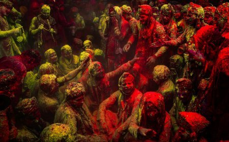 सोनी BBC अर्थ ने अपने ‘अर्थ इन फोकस’ फोटोग्राफी प्रतियोगिता का सफल पांचवां संस्करण संपन्न किया