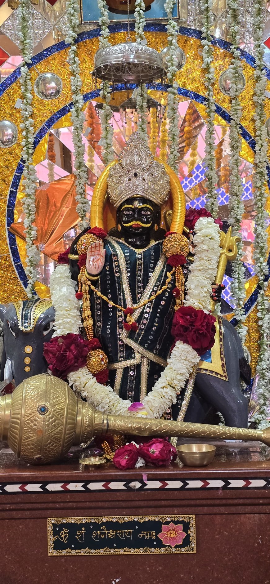 स्वास्थ्य ,साहित्य ,समाज सेवा के साथ मनाया जाएगा स्थापना महोत्सव