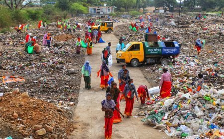 स्वच्छता की जिम्मेदारी हम सब की है-महापौर*