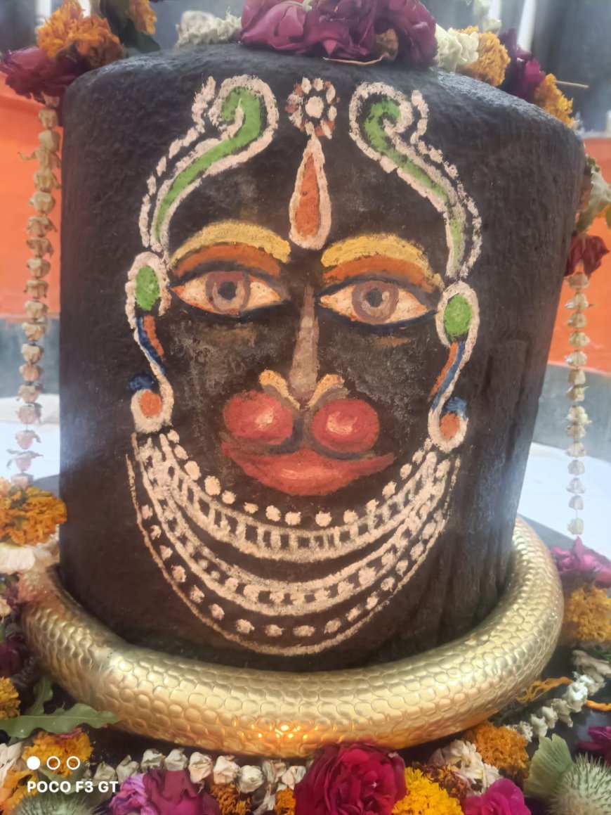 अत्यंत चमत्कारिक है, झीर्णेश्वर महादेव मंदिर,  धर्मेंद्र श्रीवास्तव,