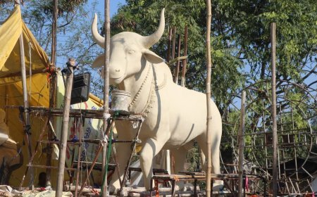 प्रदेश की सबसे बड़ी धार्मिक व सांस्कृतिक फागयात्रा 8 मार्च को.