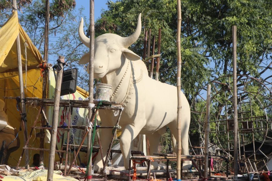 प्रदेश की सबसे बड़ी धार्मिक व सांस्कृतिक फागयात्रा 8 मार्च को.