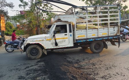 नगर परिषद सरदारपुर ने गति अवरोधक तो बना दिया किंतु? संकेतक नहीं होने से वाहन चालकों को हो रही परेशानी। धर्मेंद्र श्रीवास्तव,