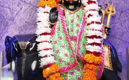 शनि जयंती पर सजेगा गजासीन शनि धाम*