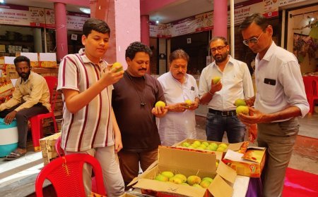 हापुस की खुशबू से महका मेंगो जत्रा, इंदौरियों ने जमकर लिया आम का स्वाद