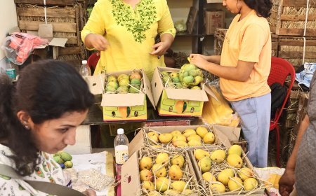 मैंगो जत्रा में पहुंचे मुख्यमंत्री मोहन यादव, महाराष्ट्र के 24 आम उत्पादक किसानों को देंगे प्रोत्साहन राशि