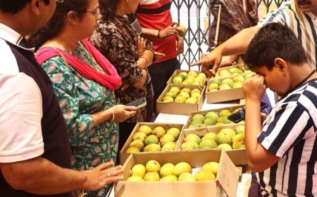 मैंगो जत्रा का हुआ समापन, तीन दिनों में लगभग 75 हजार दर्जन से अधिक बिके आम