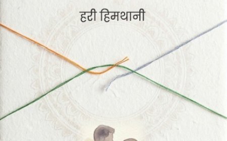बंटवारे की पीड़ा और इंसानियत को बयान करता उपन्यास*