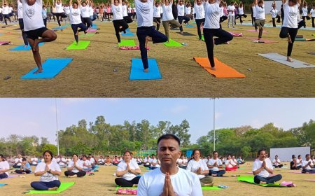 मंचों के माध्यम से भी व्यापक जनजागरूकता अभियान चलाया गया। विभिन्न