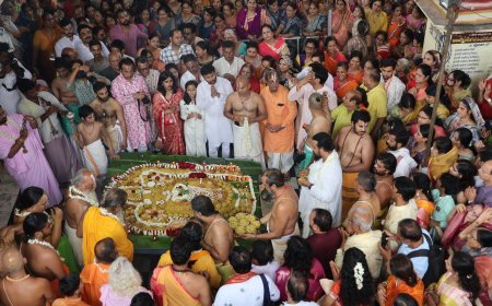 तिरुप्पवाड़ा उत्सव में हुए इमली चावल से निर्मित तिरुपती बालाजी के मनोहारी दर्शन*