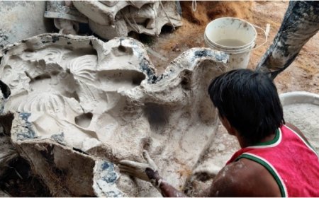 प्लास्टर ऑफ पेरिस जहां मूर्तियों का निर्माण वही लगे रोक। धर्मेंद्र श्रीवास्तव,