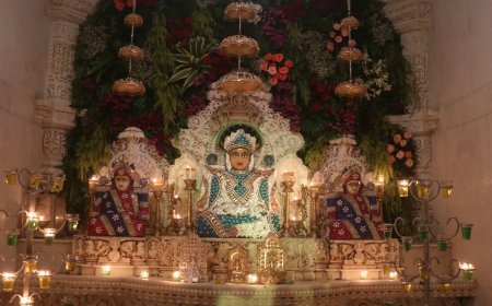डायमंड और फूलों की आंगी से सजे मनमोहन पार्श्वनाथ