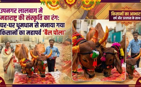 उपनगर लालबाग मे महाराष्ट्र की संस्कृति का रंग: घर-घर धूमधाम से मनाया गया किसानों का महापर्व 'बैल पोला'