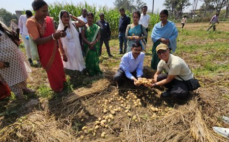 अब कमाई और पानी की बचत का जरिया बनेगी पराली