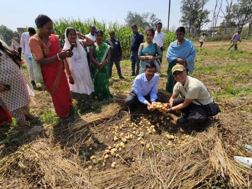 अब कमाई और पानी की बचत का जरिया बनेगी पराली