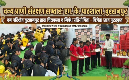 वन्य प्राणी संरक्षण सप्ताह: बुरहानपुर वन परिक्षेत्र द्वारा एम. के. पाठशाला में चित्रकला व निबंध प्रतियोगिता आयोजित, विजेता छात्र हुए पुरस्कृत